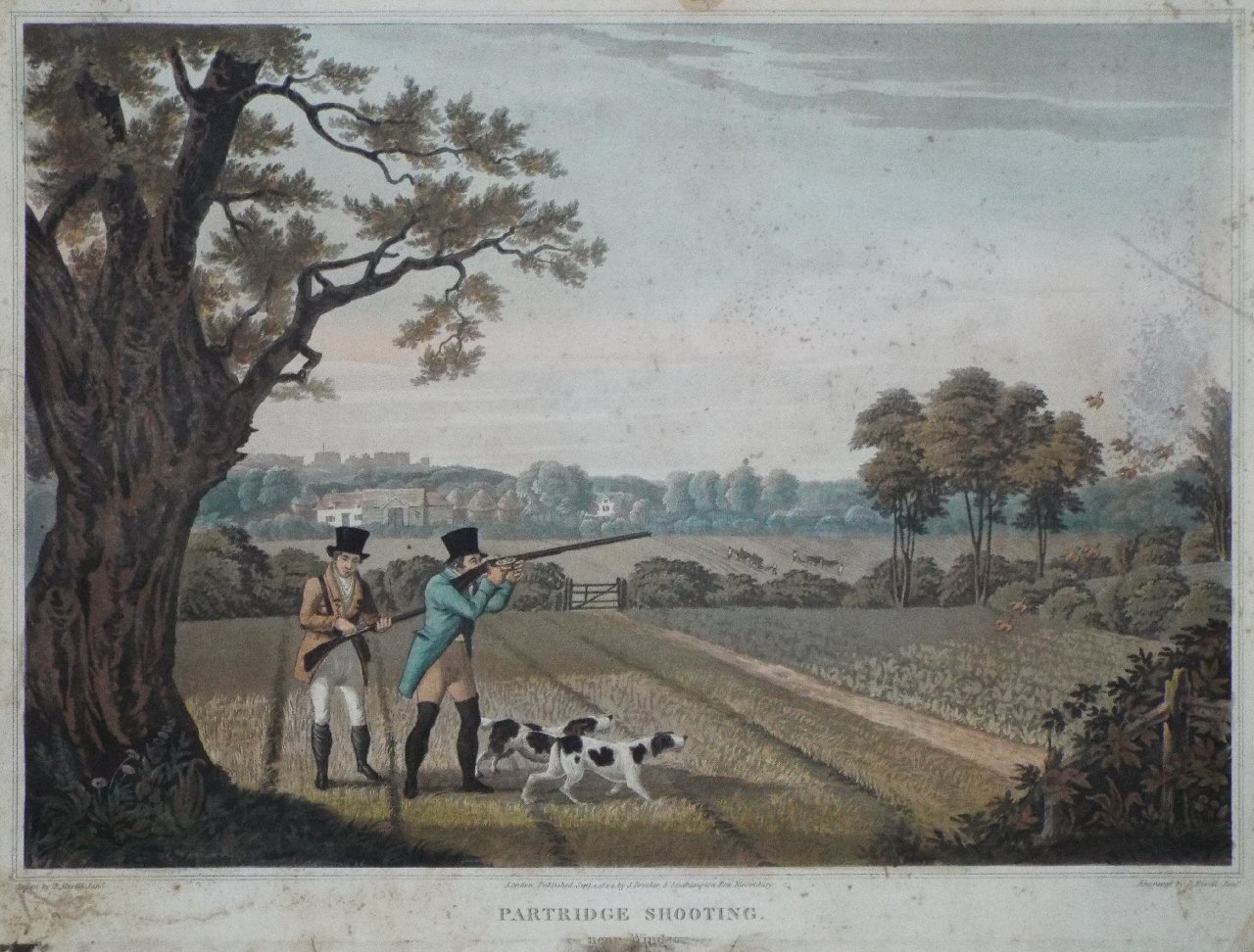 Aquatint - Partridge Shooting. near Windsor - Havell